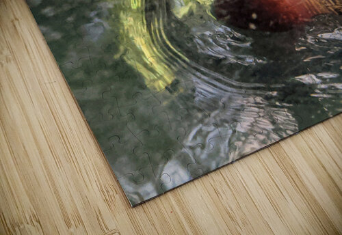 Duck Kelly Marie Johnson puzzle