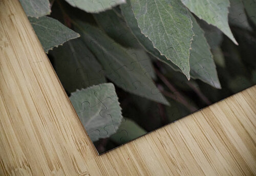 GreenLeaves3 Kelly Marie Johnson puzzle