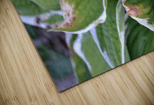 GreenLeaves Kelly Marie Johnson puzzle