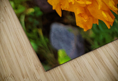 OrangeFlower Kelly Marie Johnson puzzle
