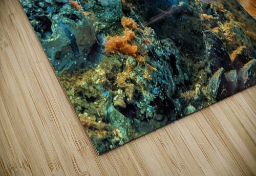 OrangeFishScene Kelly Marie Johnson puzzle