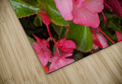 PinkFlowers Kelly Marie Johnson puzzle