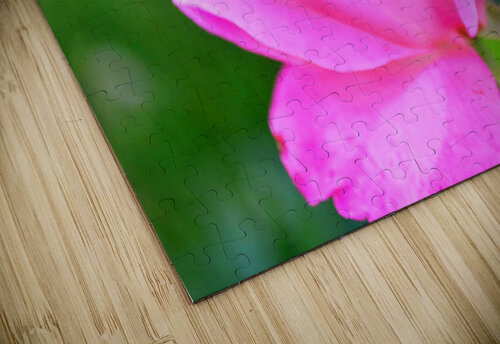 PinkFlower Kelly Marie Johnson puzzle