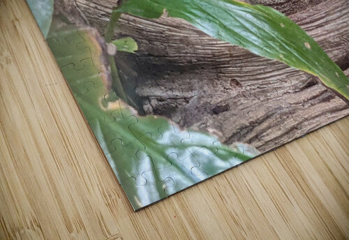 Toad Kelly Marie Johnson puzzle