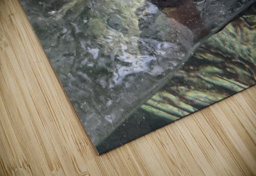 Duck Kelly Marie Johnson puzzle