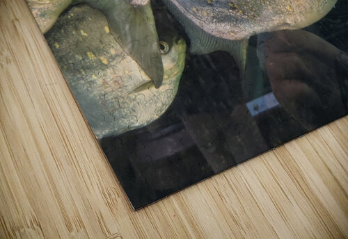 Colorful Fish Kelly Marie Johnson puzzle