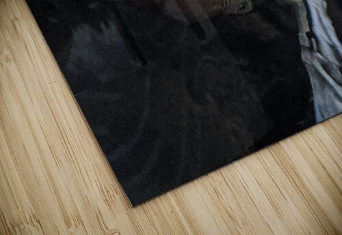 Duck Kelly Marie Johnson puzzle