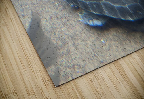 Turtle Kelly Marie Johnson puzzle