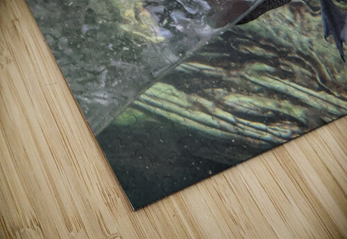 Duck Kelly Marie Johnson puzzle