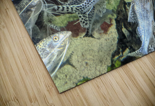Colorful Fish Kelly Marie Johnson puzzle