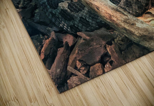 Snake Kelly Marie Johnson puzzle