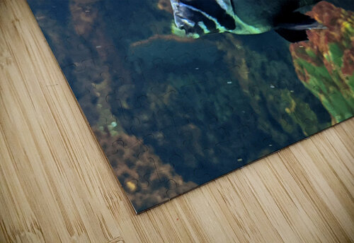White Black Fish Kelly Marie Johnson puzzle