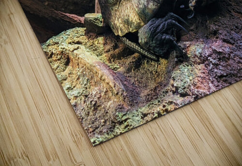 Turtle Kelly Marie Johnson puzzle