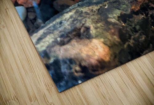 Toad Kelly Marie Johnson puzzle