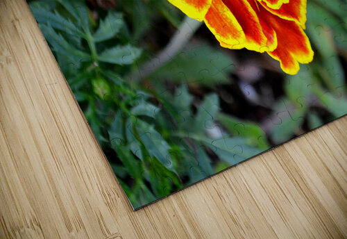 Yellow Red Flower Kelly Marie Johnson puzzle