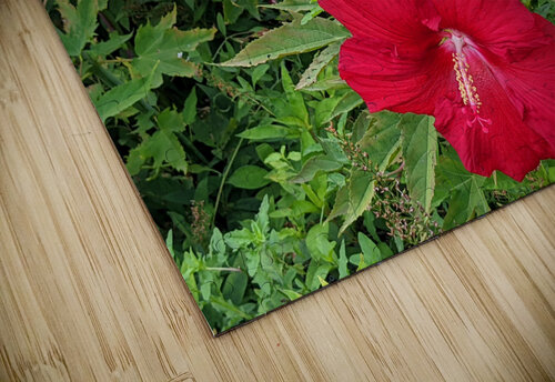 Red Flowers Kelly Marie Johnson puzzle