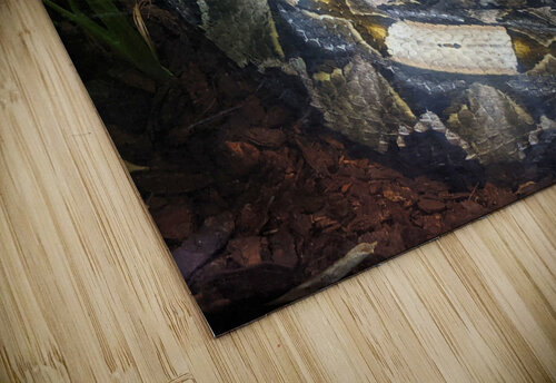 White Snake Kelly Marie Johnson puzzle