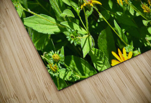 Yellow Flowers Kelly Marie Johnson puzzle