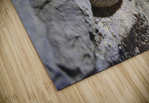 Snake Kelly Marie Johnson puzzle