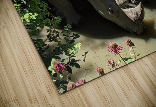 Rhino Kelly Marie Johnson puzzle
