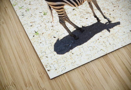 Zebra2 Kelly Marie Johnson puzzle