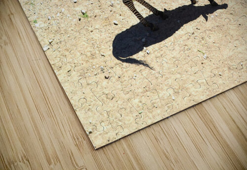 Zebra Kelly Marie Johnson puzzle