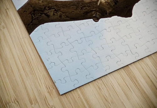Bird Kelly Marie Johnson puzzle