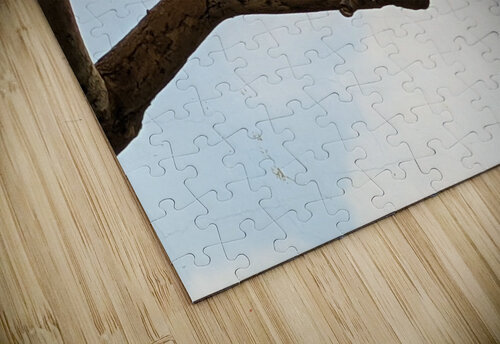 Bird Kelly Marie Johnson puzzle