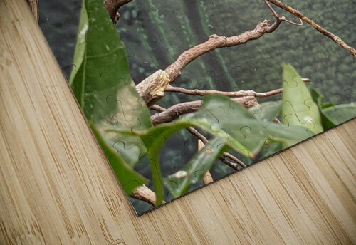 Bird Kelly Marie Johnson puzzle