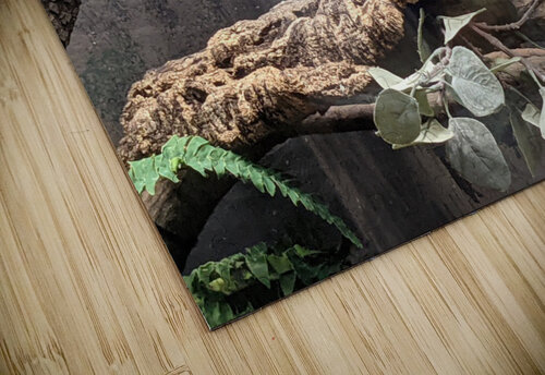 Bird Kelly Marie Johnson puzzle