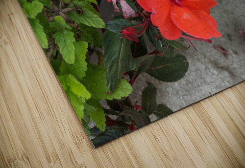 Red Flowers Kelly Marie Johnson puzzle