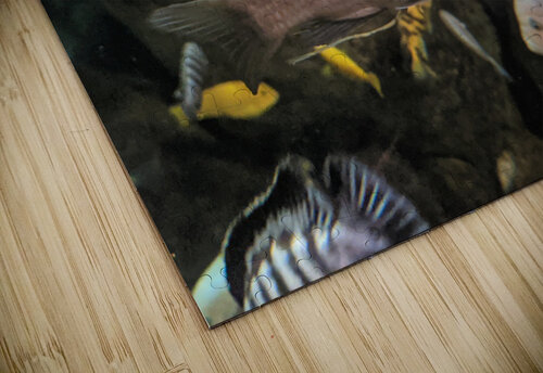 Colorful Fish Kelly Marie Johnson puzzle