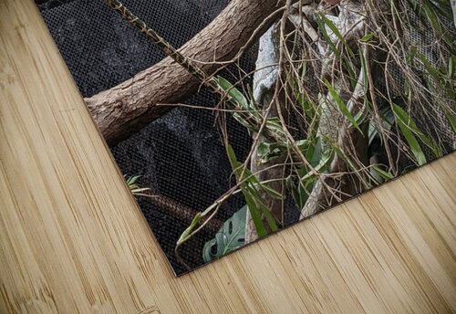 White Bird Kelly Marie Johnson puzzle