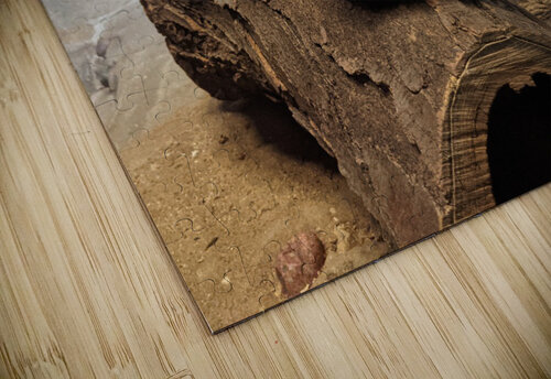 Zoo Kelly Marie Johnson puzzle