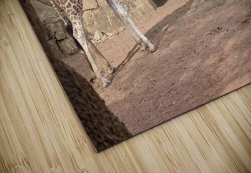 Giraffe Kelly Marie Johnson puzzle