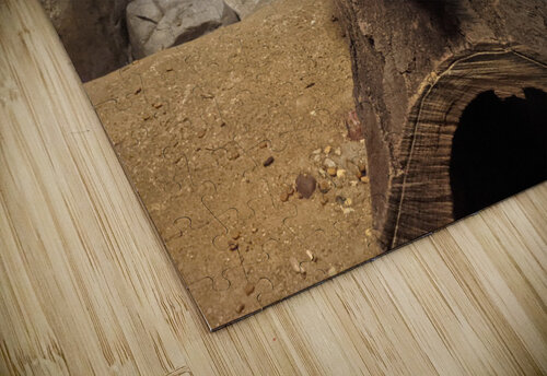 Zoo Kelly Marie Johnson puzzle