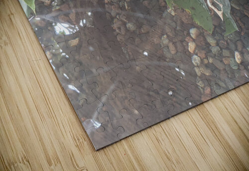 Zoo Kelly Marie Johnson puzzle