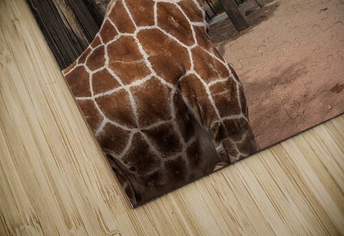 Giraffe Kelly Marie Johnson puzzle