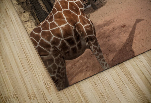 Giraffe Kelly Marie Johnson puzzle