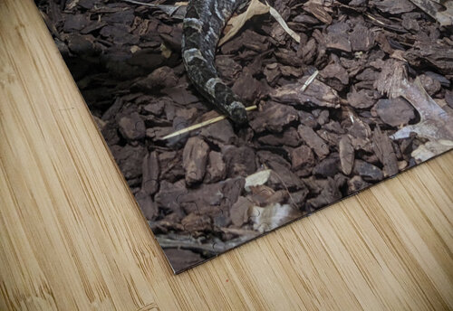 Snake Kelly Marie Johnson puzzle