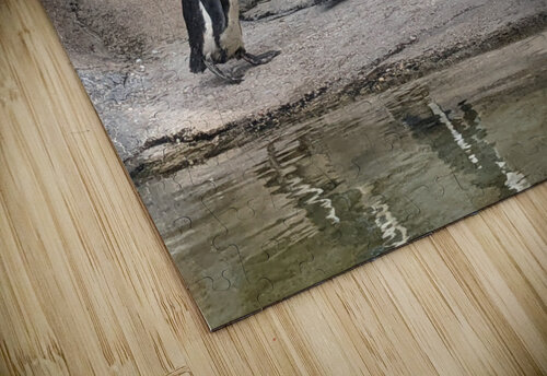 Penguin Kelly Marie Johnson puzzle