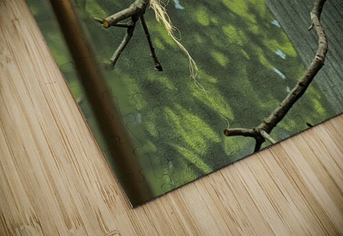 Zoo Kelly Marie Johnson puzzle