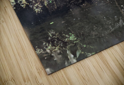 Reptile Kelly Marie Johnson puzzle