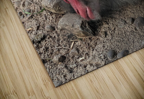Monkey Kelly Marie Johnson puzzle