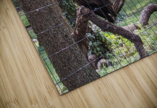Bird Kelly Marie Johnson puzzle