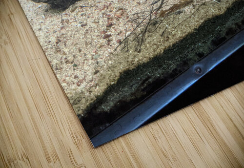 Zoo Kelly Marie Johnson puzzle