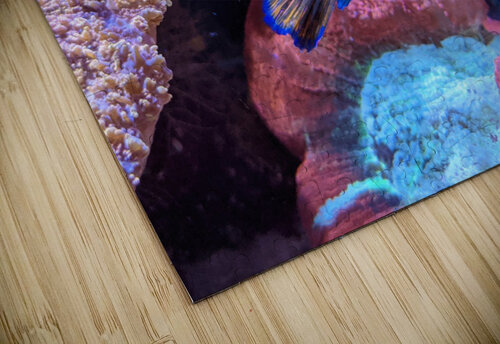 Blue Fish Kelly Marie Johnson puzzle