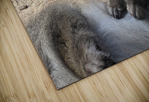 Monkey Kelly Marie Johnson puzzle