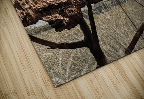 Zoo Kelly Marie Johnson puzzle