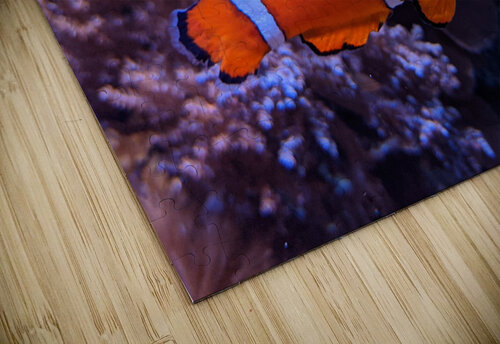 Colorful Fish Kelly Marie Johnson puzzle